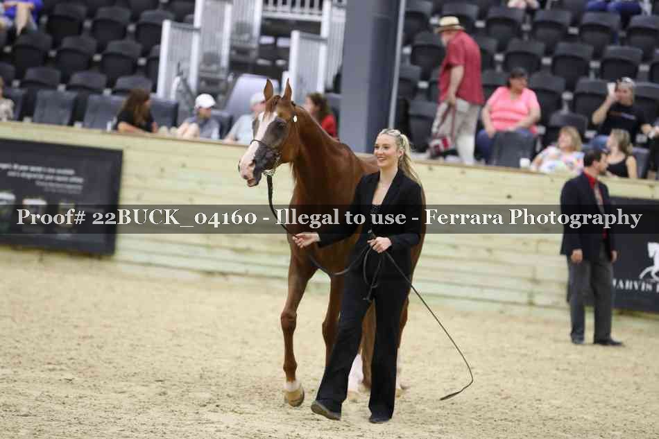 Proof 22BUCK_04160