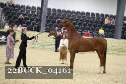 22BUCK_04161 proof