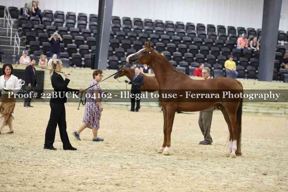 Proof 22BUCK_04162