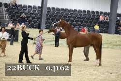 22BUCK_04162 proof
