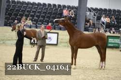 22BUCK_04164 proof