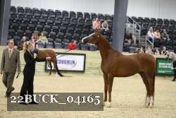 22BUCK_04165 proof