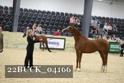 22BUCK_04166 proof