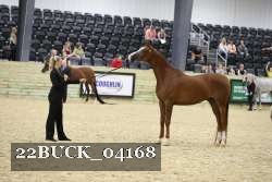 22BUCK_04168 proof