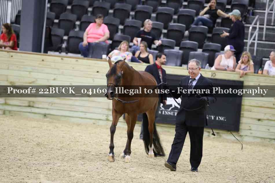 Proof 22BUCK_04169