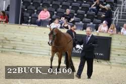22BUCK_04169 proof