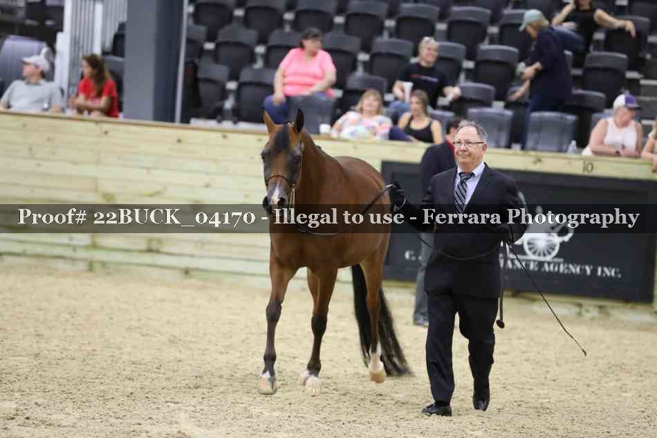 Proof 22BUCK_04170
