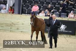 22BUCK_04170 proof
