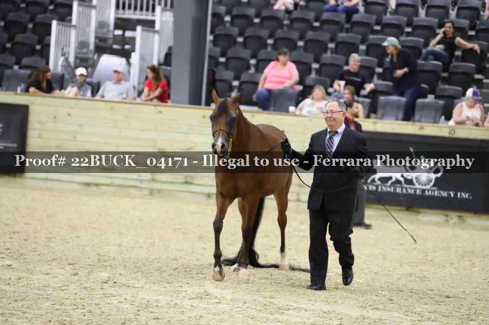 Proof 22BUCK_04171