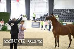 22BUCK_04172 proof