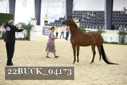 22BUCK_04173 proof