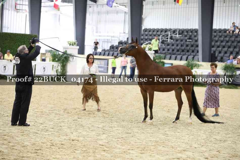 Proof 22BUCK_04174