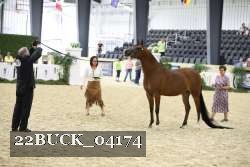 22BUCK_04174 proof