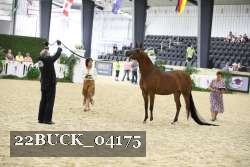 22BUCK_04175 proof