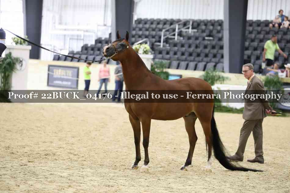 Proof 22BUCK_04176