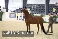 22BUCK_04176 proof