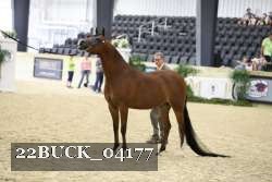 22BUCK_04177 proof