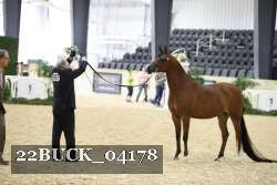 22BUCK_04178 proof