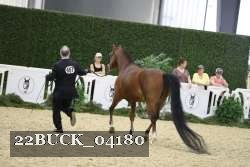 22BUCK_04180 proof