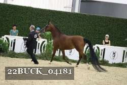 22BUCK_04181 proof