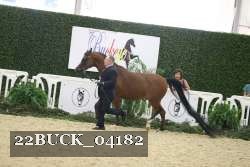 22BUCK_04182 proof