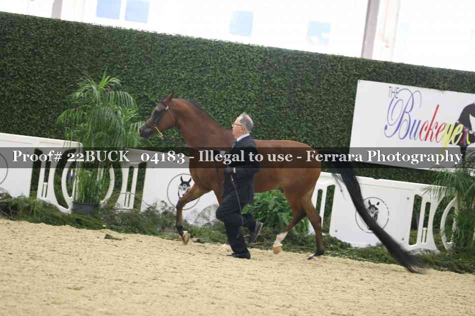 Proof 22BUCK_04183