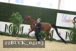 22BUCK_04183 proof
