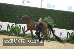 22BUCK_04184 proof