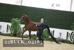 22BUCK_04185 proof