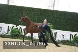22BUCK_04186 proof