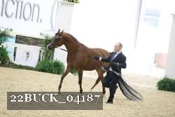 22BUCK_04187 proof