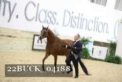22BUCK_04188 proof