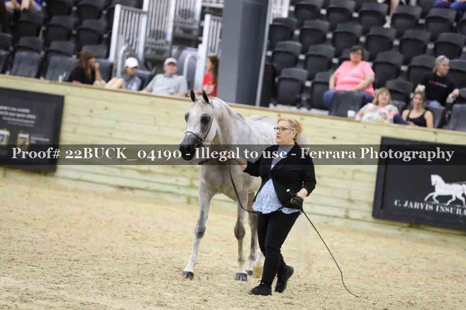 Proof 22BUCK_04190