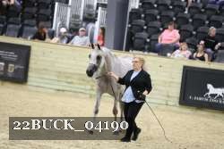 22BUCK_04190 proof