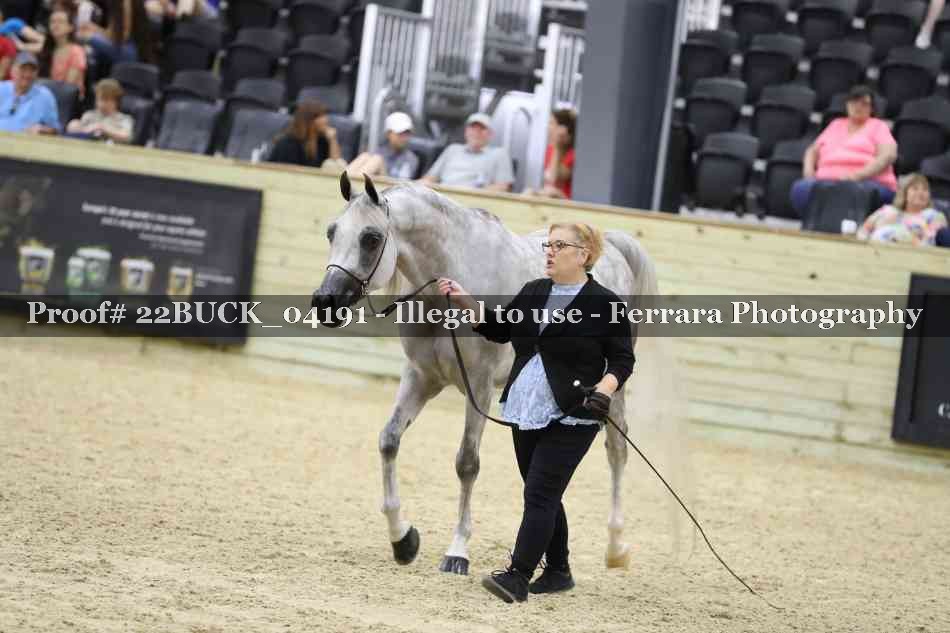 Proof 22BUCK_04191