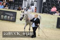 22BUCK_04191 proof