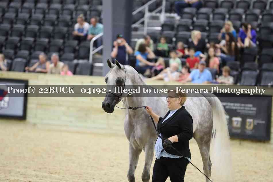 Proof 22BUCK_04192