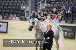 22BUCK_04192 proof
