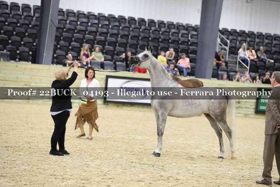 Proof 22BUCK_04193