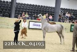 22BUCK_04193 proof