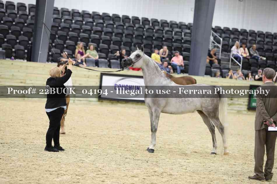 Proof 22BUCK_04194