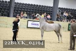 22BUCK_04194 proof