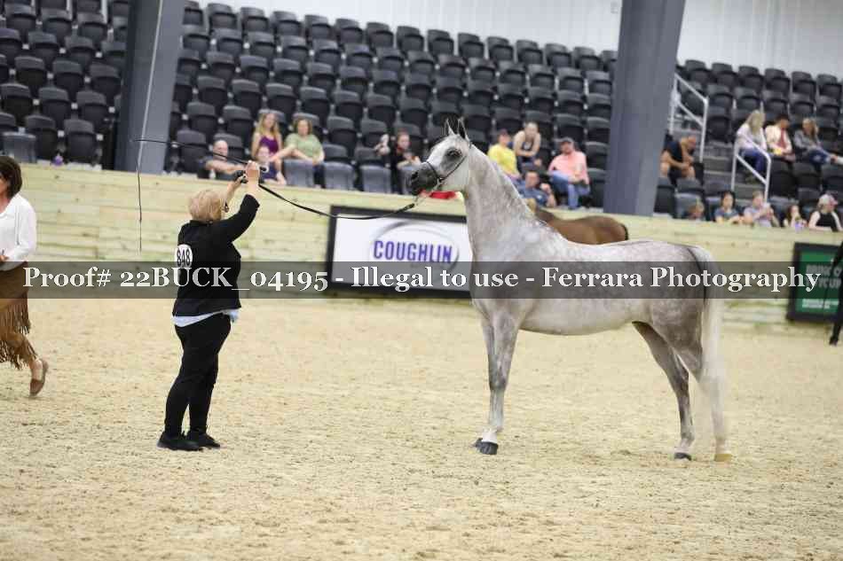 Proof 22BUCK_04195