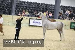 22BUCK_04195 proof