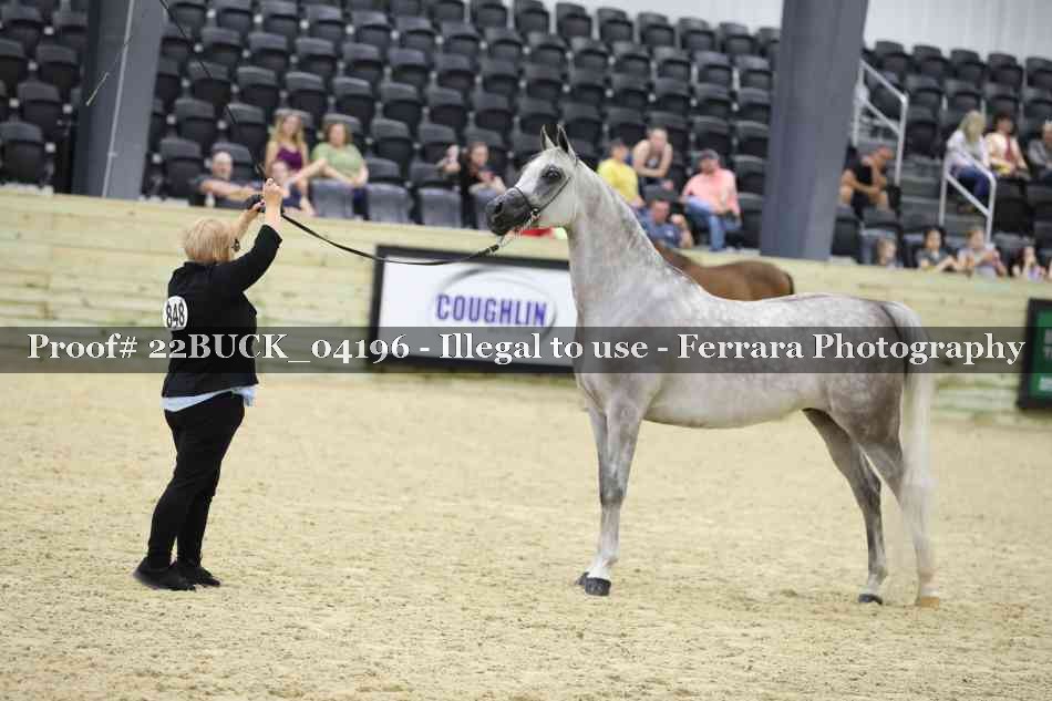 Proof 22BUCK_04196