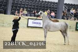 22BUCK_04196 proof