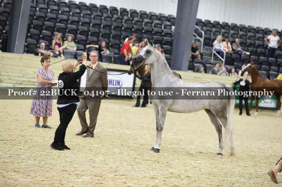 Proof 22BUCK_04197