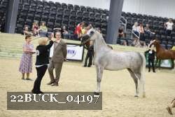 22BUCK_04197 proof