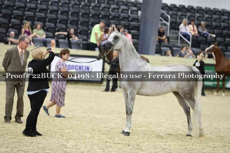 Proof 22BUCK_04198