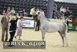 22BUCK_04198 proof